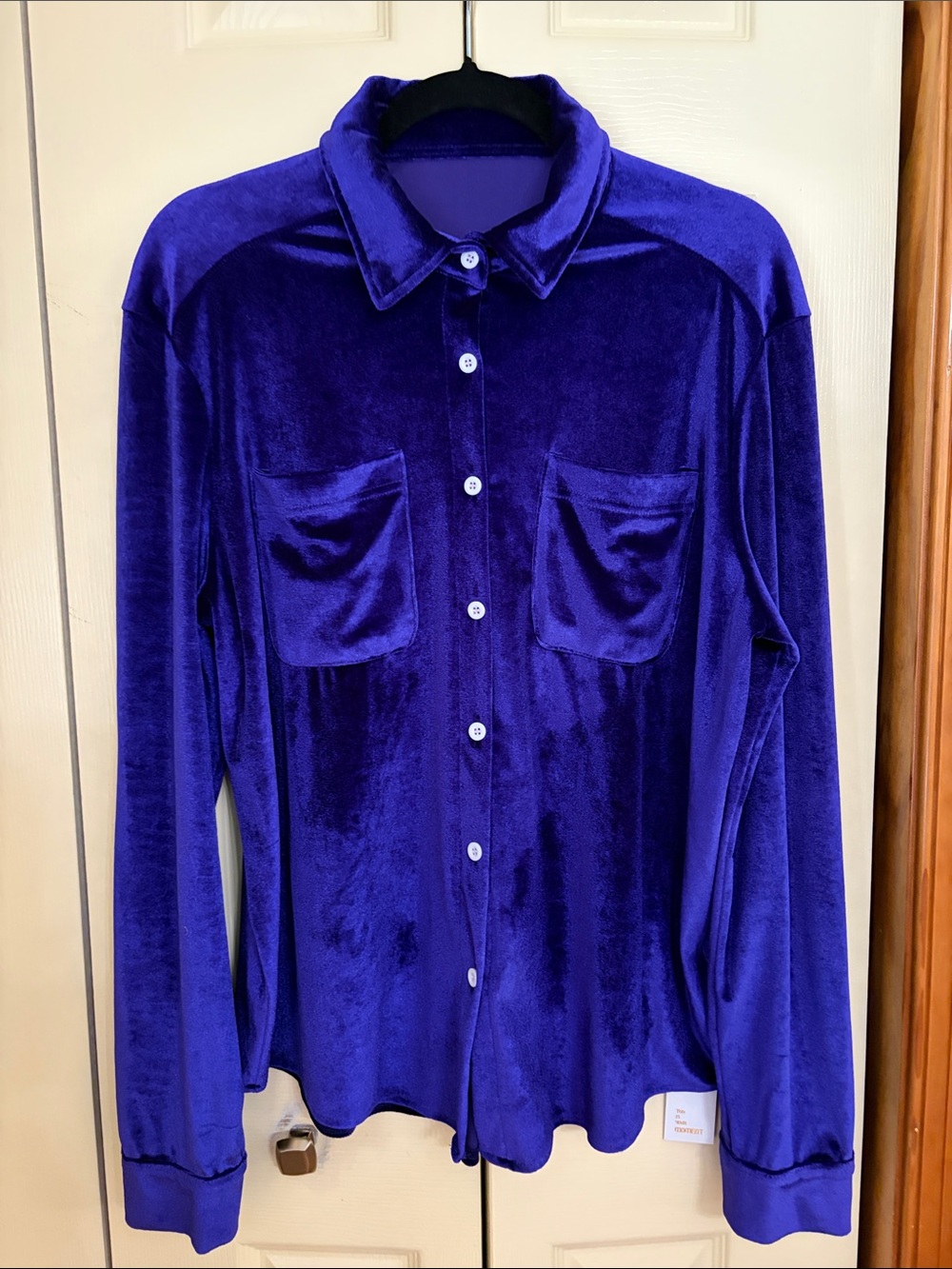 Women's Velvet Button-Down Shirt in Royal Purple